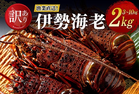 【訳あり！】【漁協直送！】冷凍伊勢海老2kg（3～10尾） 【 期間限定 数量限定 魚介類 えび 伊勢えび イセエビ 】[B01709] 冷凍伊勢海老2kg（3～10尾）