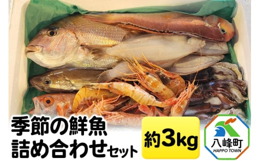 季節の鮮魚詰め合わせセット 約3kg 高級魚 鮮度抜群