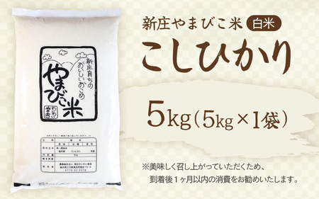 米 令和6年産 コシヒカリ 5kg 新庄やまびこ米（白米） [m23-a008]