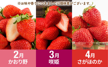 【R8年2月以降発送】【全6回定期便】赤いちご3種と佐賀牛のセット / いちご 牛肉 [IZZ027]