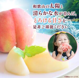 桃 秀品 和歌山の桃　約2kg  ※2026年6月下旬～順次発送 ※北海道・沖縄・離島配送不可【tec910B】
