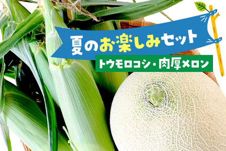 《7月中旬～9月中旬発送》夏のお楽しみセット とうもろこし3本～5本と肉厚メロン1個のセット