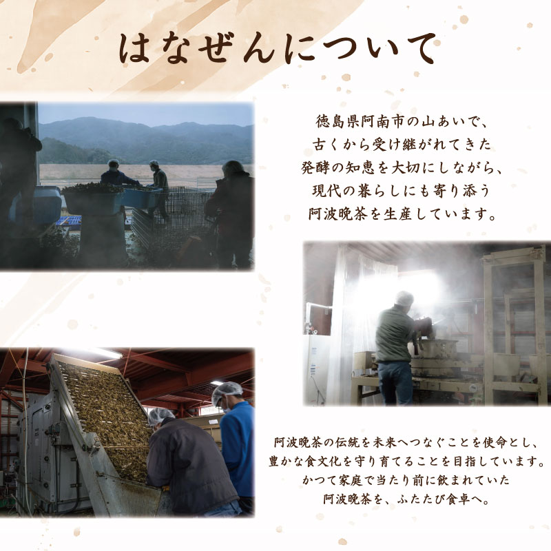 阿波晩茶 ペットボトル 12本 （1本500ml入り） お茶 晩茶 番茶 茶葉 本格 阿波晩茶 100％ 健康茶 発酵 伝統 お土産 阿波 徳島 阿南市 はなぜん
