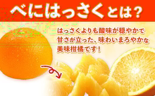紅八朔（ポッポ） 5kg（3L〜L）JAわかやま 紀の里地域本部《3月中旬-4月中旬に出荷予定(土日祝除く)》和歌山県 岩出市 産地直送 みかん 八朔 柑橘 果物 フルーツ ビタミンC たっぷり