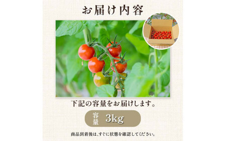 ＜特別栽培農産物＞ファームサイドのこだわりミニトマト 3kg 野菜 トマト ミニトマト 特別栽培 農産物 サラダ ピクルス 炒め物 食品 本庄産 関東 F5K-511