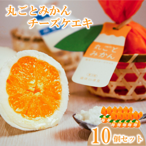 丸ごとみかんチーズケエキ 10個セット（ チーズケーキ お菓子 道後温泉 蜜柑 みかん チーズ ケーキ スイーツ おやつ お菓子 レアチーズ ケーキ お菓子 道後 お菓子 道後温泉 チーズ ケーキ お