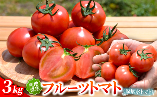 【事前受付】感動のフルーツトマト「深層水トマト」3キロ【濃厚な甘みと旨み】【配送不可地域：離島】