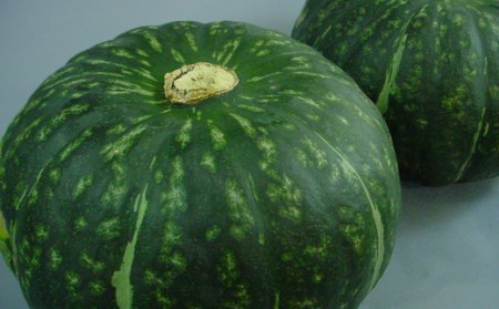 ≪令和７年産予約受付！≫おおとり　野菜の定期便（４回）アスパラ あすぱら とうもろこし とうきび じゃがいも 芋 イモ いも カボチャ 南瓜 旬 旬の野菜 定期配送[053-06]