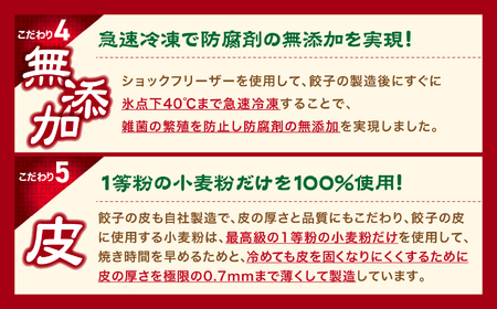 餃子 生餃子 30個(6人前)