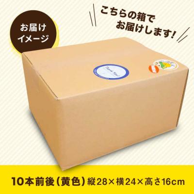 ふるさと納税 糸島市 糸島産 トウモロコシ「もきっこ」黄(10本前後) 糸島市/内田農業[AZH001] |  | 03