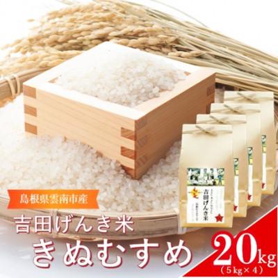 ふるさと納税 雲南市 島根県雲南市産「吉田げんき米」きぬむすめ20kg(5kg×4)