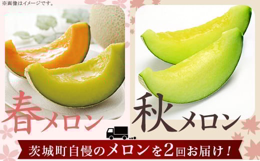 371 メロン 定期便 春メロン 秋メロン 人気 食べ比べ フルーツ 先行予約 数量限定 2回 お届け メロン好き 集合
