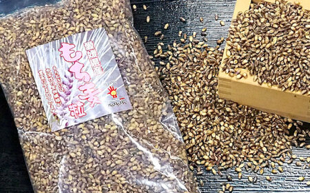 内子町産もち麦8kg BKAD015 もち麦