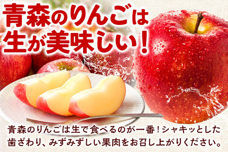 【レビューキャンペーン】【26年5月クール便発送】りんご  贈答用 葉取らず ふじ 約5kg（有袋栽培・CA貯蔵）EMりんご