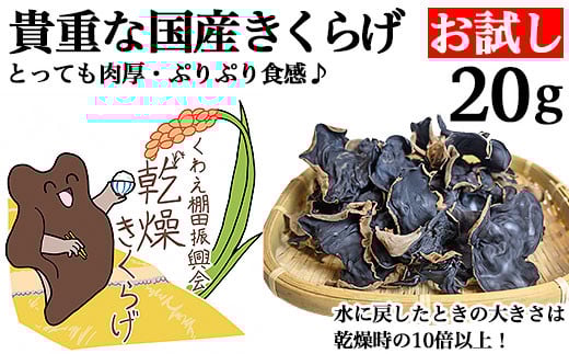 
            国産きくらげ お試し20g
          