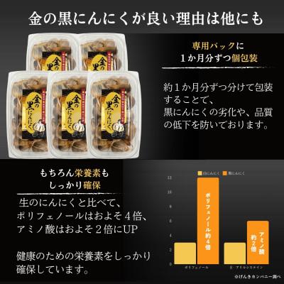 ふるさと納税 伊賀市 黒にんにく 良粒のみ 青森県産 バラ 1kg (200g×5) 福地ホワイト6片使用 添加物不使用 |  | 02