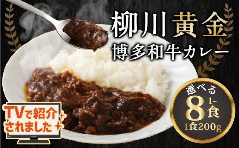 
                  【TVで話題!!】 選べる 柳川黄金博多和牛カレー 1~8食 200g 博多 和牛 カレー 肉 人気 福岡県 柳川市 清柳食産
                