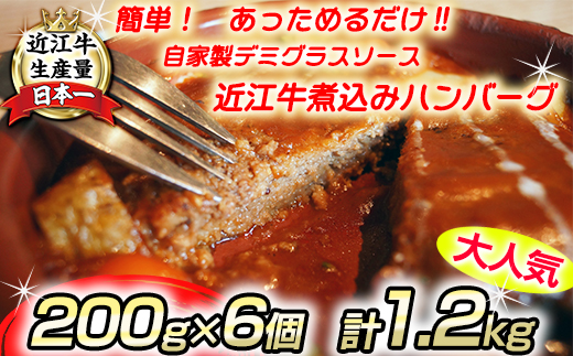 近江牛煮込みハンバーグ　自家製デミグラスソース　【1200g（200ｇ×6個）】【DI01U】