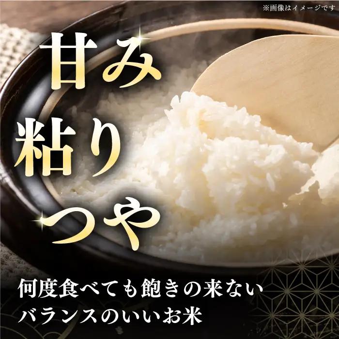 令和7年産 令和8年産 【全2回定期便】ななつぼし [たんとう米] 10kg 米 定期便 2カ月 連続 毎月 お米 白米 ご飯 ななつぼし ブランド米 北海道 [AXAB068]