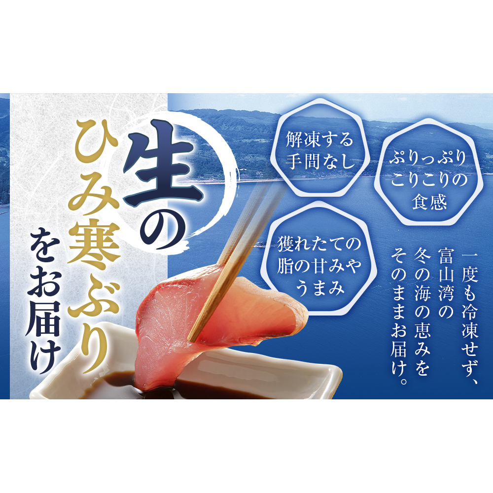 【先行予約】【期間限定】氷見の寒ぶり一本（三枚おろし）真空パック【ひみ水産】※配送エリア限定※_イメージ5