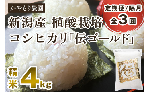 
【定期便3回隔月お届け】新潟産コシヒカリ「伝ゴールド」白米真空パック 精米4kg（2kg×2）南麻布の高級料亭で提供される極上米 かやもり農園 定期便
