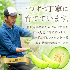 【1219】農家直送!和歌山県御坊市産アールスメロン1玉≪先行予約 2026年7月より順次発送分≫