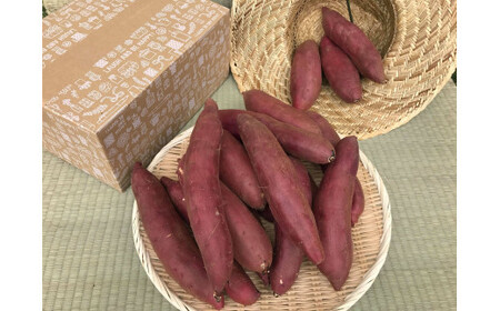 【先行予約】【令和8年12月発送】焼き芋好きのためのさつま芋　紅はるか10kg【茨城県共通返礼品・行方市産】（KBE-59）