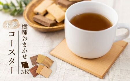 樹種お任せ 木のコースター 3枚 無垢 コースター [Q1401pi]
