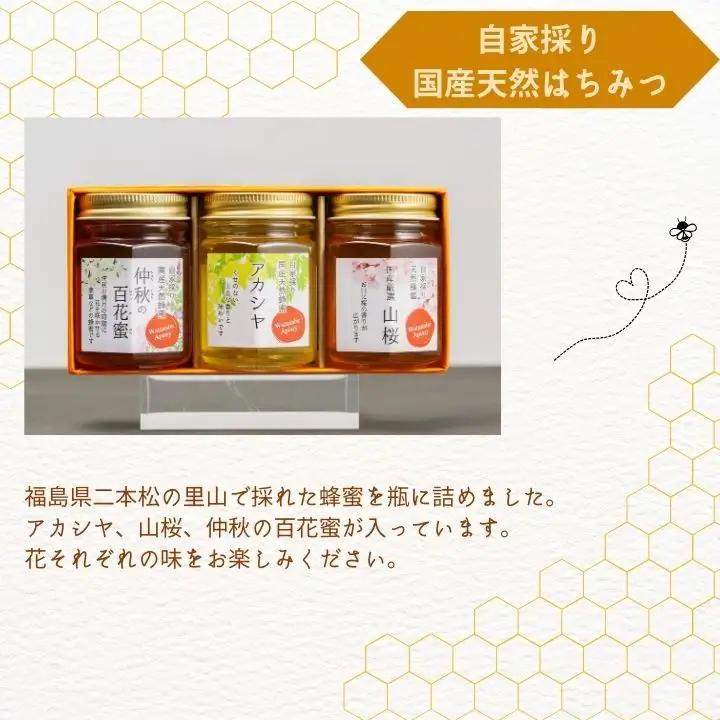 国産天然はちみつ 3本セット(140g×3) | ハチミツ 蜂蜜【株式会社渡辺養蜂場】