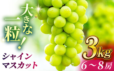 【2026年発送先行予約】シャインマスカット 3kg(6～8房)【合同会社 社方園】ぶどう 大粒  熊本 期間限定  マスカット [ZBZ014]