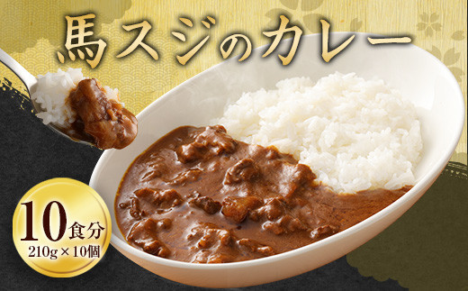 
馬スジのカレー 10食 セット 合計2.1kg カレー レトルト
