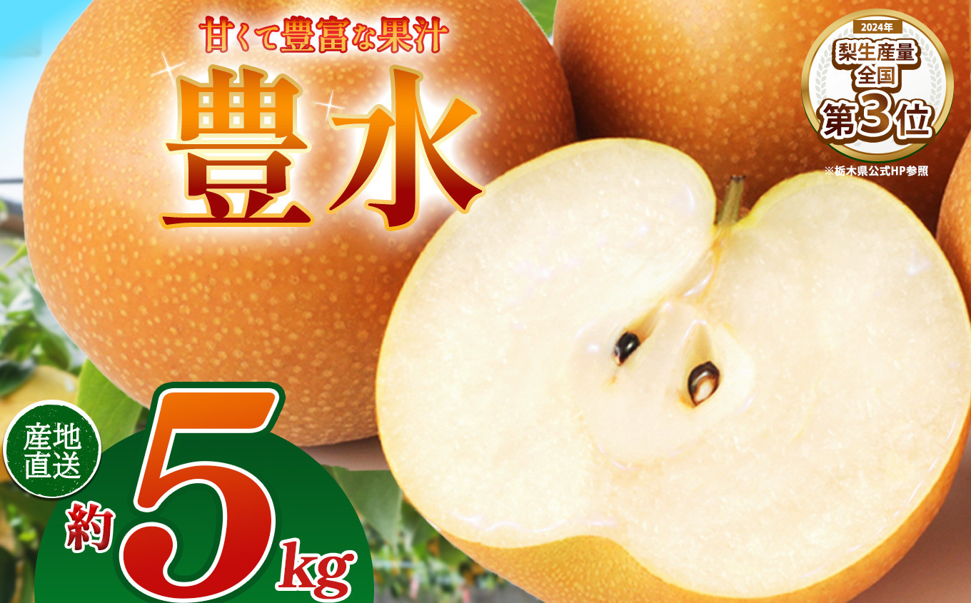
                  【2026年先行予約】豊水 約5kg | 梨 なし ナシ 新品種 先行予約 大粒 新鮮 甘い 美味しい 果物 くだもの フルーツ ふるーつ 共通返礼品 フルーツ デザート 栃木県 那珂川町
                