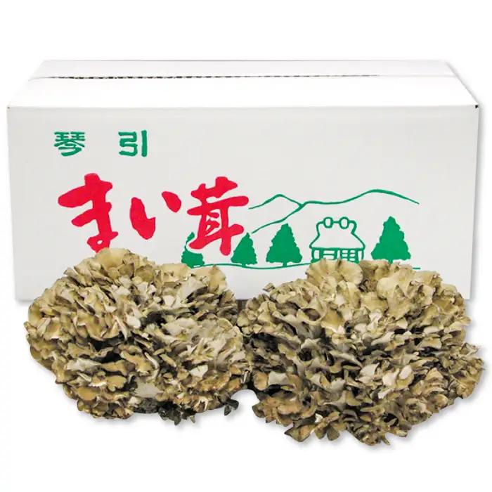 島根県飯南町産 生舞茸セット 約400ｇ×２株【きのこ キノコ 贈答用 ギフト まいたけ】