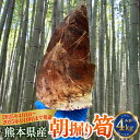 【ふるさと納税】熊本県産朝掘り筍 約4kg たけのこ タケノコ 国産 旬 皮付き 野菜 新鮮 朝掘り 煮物 お吸い物 サラダ 冷蔵 九州 熊本県 送料無料 【2025年4月1日～2025年4月18日発送予定】