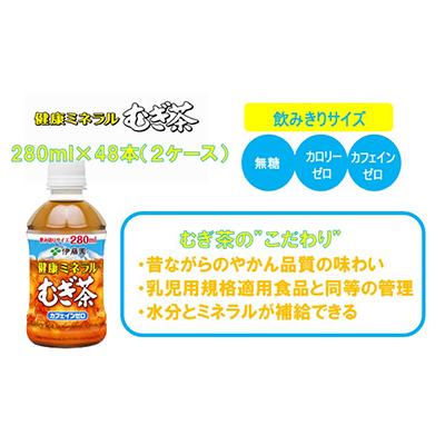 ふるさと納税 前橋市 【毎月定期便】伊藤園の健康ミネラルむぎ茶 280mlペット×48本(24本×2ケース)全6回 |  | 01
