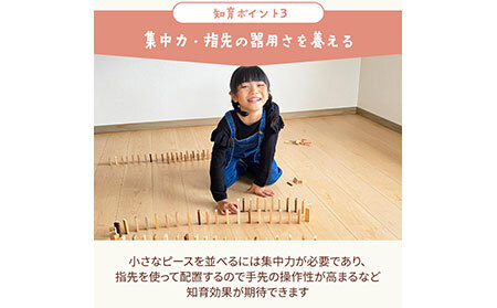 森のドミノさん_T2600325