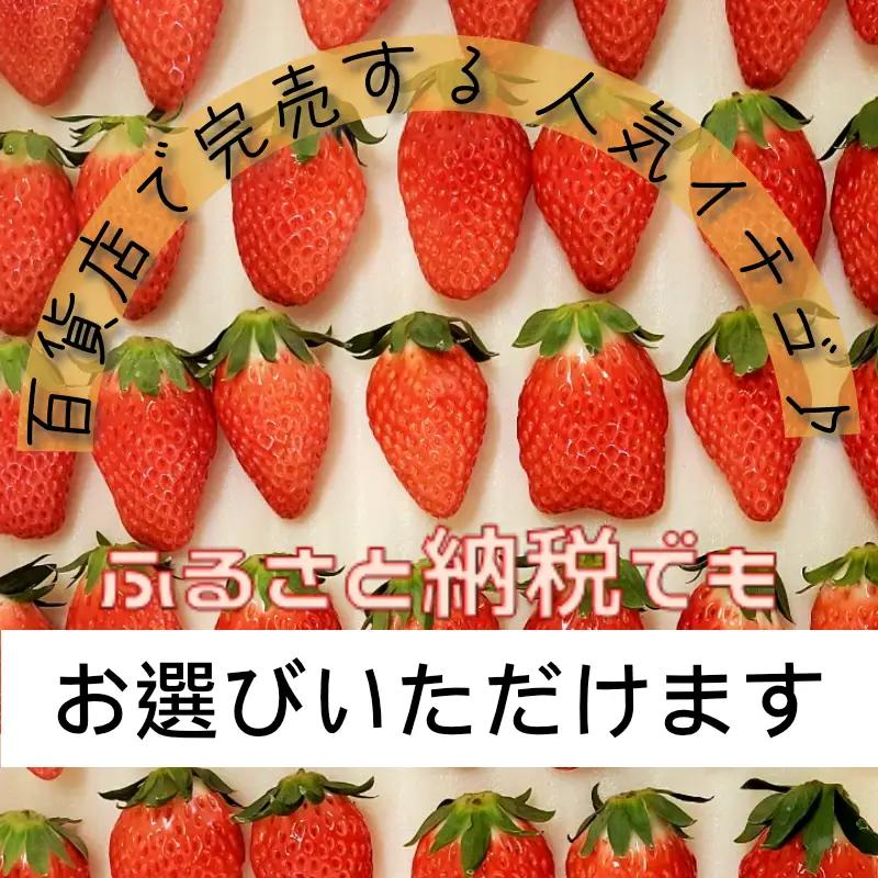 冷凍イチゴ あきひめ 2kg いちご