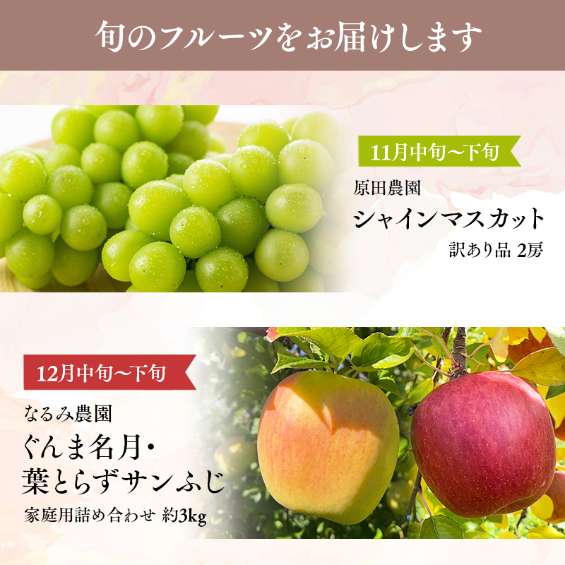青森フルーツ満喫便　家庭用 りんご＆シャインマスカット 2回定期コース【hi-0999-010】