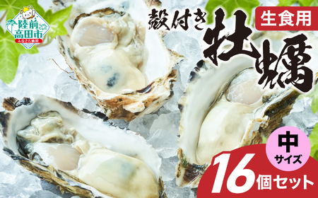 【殻付き生牡蠣】中サイズ16個 冷蔵 生食 牡蠣