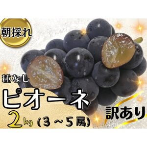 【2025年先行受付】訳あり岡山県産ピオーネ2kg【配送不可地域：離島】【1633341】