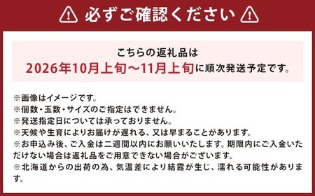 北海道産 じゃがいも 男爵 M～2Lサイズ混載 約10kg かぼちゃ ブラックのジョー 約5kg（2～5玉） セット 各1箱 合計約15kg 2箱 山田農場 ジャガイモ 芋 いも イモ 栗かぼちゃ 南