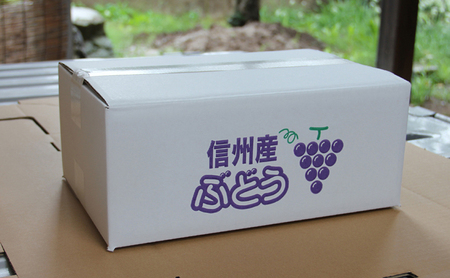 ぶどう 先行予約 長野市産 クイーンルージュ(R) シャインマスカット 2房 約1kg 詰め合わせ セット お楽しみ 食べ比べ 葡萄 ブドウ 果物 フルーツ デザート おやつ 信州 高糖度 高級品種 