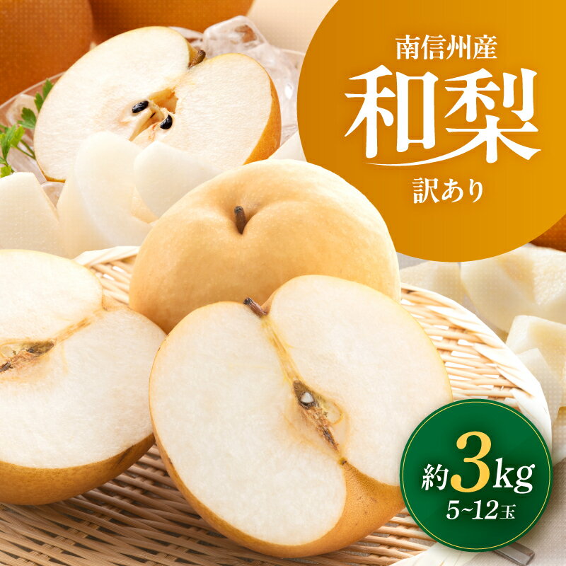 【ふるさと納税】南信州産 訳あり 和梨 約3kg | 果物 くだもの フルーツ和梨 梨 幸水 豊水 南水 あきづき 訳あり わけあり 長野県 信州 南信州 飯田市 BE01