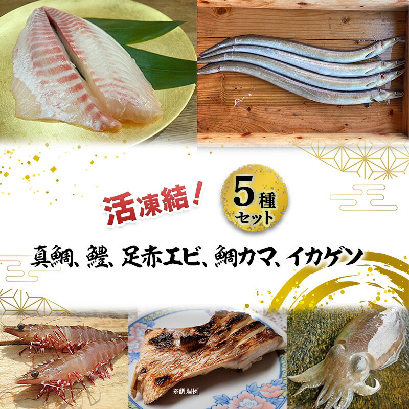 【ふるさと納税】活凍結シリーズ　活凍結 5種セット（真鯛、鱧、足赤エビ、鯛カマ、イカゲソ） 魚介 海鮮 セット 急速凍結 鮮度保持 真空パック 便利 ギフト 贈答用 兵庫県 洲本市 淡路島
