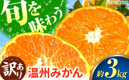 【先行予約】【訳あり】 温州みかん 3kg 極早生 早生 中生 晩生 みかん 【池田農園】[ZEX007]