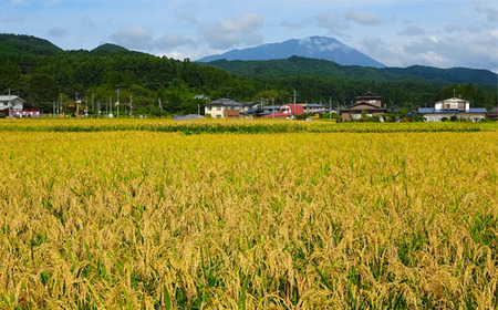 《令和５年度産》武田家のお米 きらほ（玄米）５kg ＜合鴨農法＞【米農家 仁左ェ門】/ 米 げんまい ５キロ アイガモ