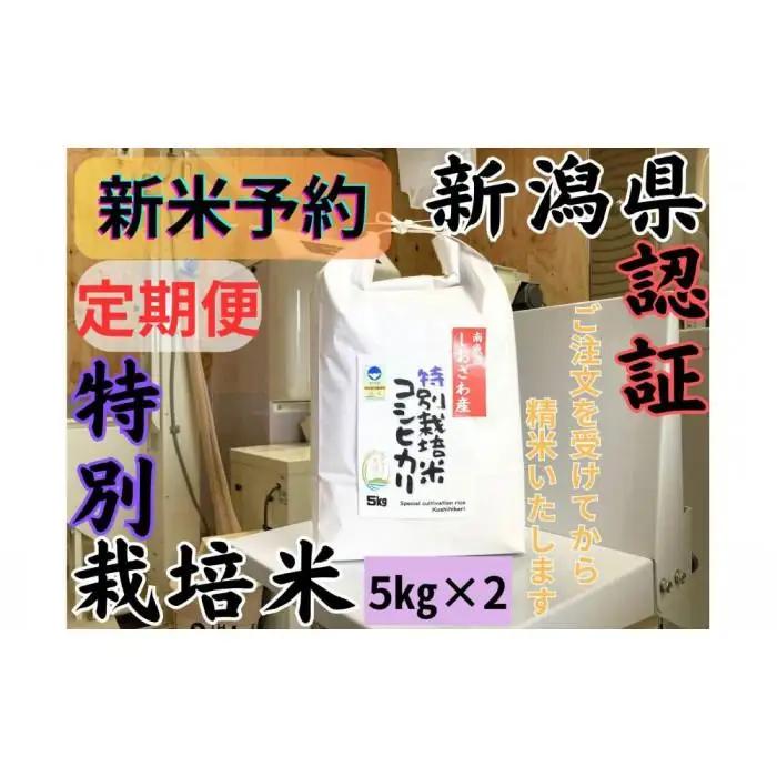 【令和8年・新米予約・定期便】安心安全の新潟県南魚沼産特別栽培米コシヒカリ　10kg×12か月　新潟県認証【2026年10月上旬より1ヶ月以内に順次発送予定】｜定期便