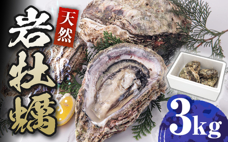 天然 岩ガキ 3kg  [WAD001] 岩がき 牡蠣 海鮮 魚介 牡蠣 かき カキ