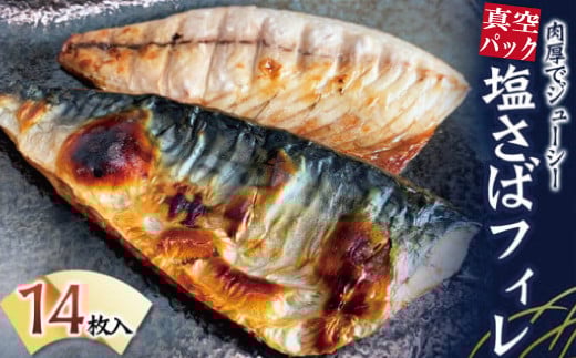 塩さばフィレ 14枚入（真空パック入）/さば サバ 鯖 フィレ 切り身 切身 魚 海鮮 焼き魚 おかず【uot403B-1】