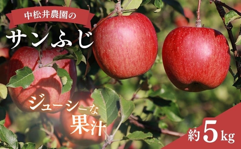 
            中松井農園のサンふじ　約5kg 長野 小諸 信州 リンゴ 林檎 [№5915-0781]
          